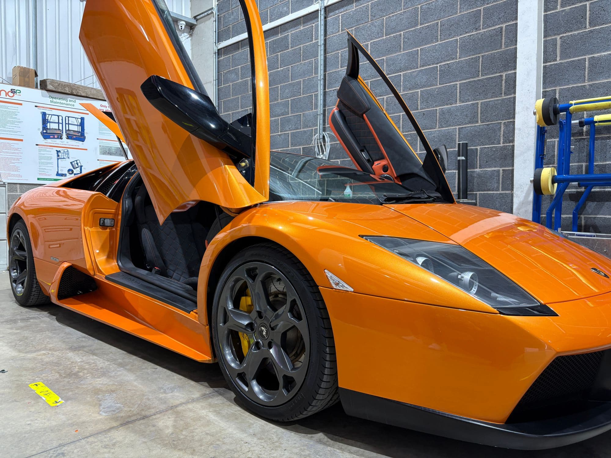 lambo1